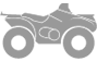 Motorsports
